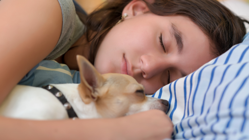 Att låta hunden eller katten sova i sängen kan ge bättre sömn visar forskning. Foto: Shutterstock